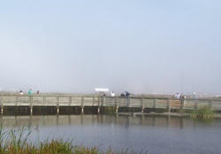 Andy Bowie Park, picture of a boardwalk on the water with people looking over and blue skies, dog friendly parks in South Padre, Texas, South Padre Island dog parks