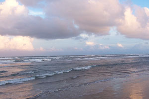 beach in south padre