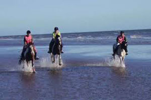horseback riding in south padre