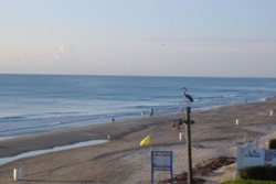 pet friendly by owner vacation rentals in South Padre