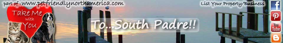 pet friendly south padre island texas